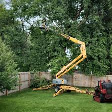 Trusted Uintah, UT Tree Care Services Experts